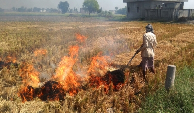 Focus on Punjab, Hry only; farm fires in other states go unnoticed | Focus on Punjab, Hry only; farm fires in other states go unnoticed