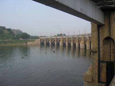 Tiruchy farmers in TN demand release of water from Mettur dam to save crops | Tiruchy farmers in TN demand release of water from Mettur dam to save crops