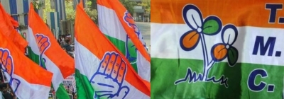 Meghalaya in a flux: Cong surrenders ground to TMC; BJP-NPP ties souring | Meghalaya in a flux: Cong surrenders ground to TMC; BJP-NPP ties souring