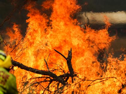 Australian states remain on high alert due to bushfires | Australian states remain on high alert due to bushfires Australian states remain on high alert due to bushfires | Australian states remain on high alert due to bushfires