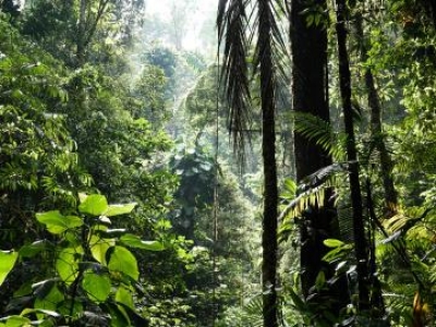 Low rainfall & high CO2 can replace India's biodiversity hotspots: Study | Low rainfall & high CO2 can replace India's biodiversity hotspots: Study Low rainfall & high CO2 can replace India's biodiversity hotspots: Study | Low rainfall & high CO2 can replace India's biodiversity hotspots: Study