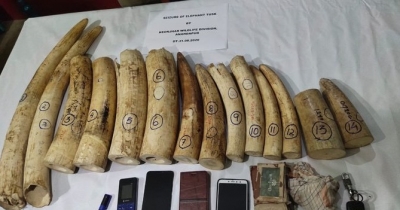 K'taka police bust antique racket; recover 7.5 kgs ivory articles | K'taka police bust antique racket; recover 7.5 kgs ivory articles