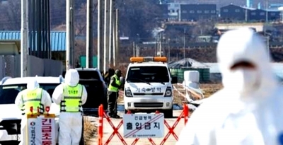 S.Korea confirms 1st case of bird flu in 6 months | S.Korea confirms 1st case of bird flu in 6 months
