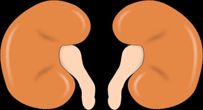 Covid-hit people must keep kidney health in check: Experts | Covid-hit people must keep kidney health in check: Experts