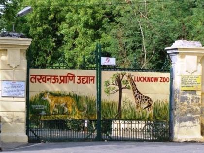 Rescued exotic animals now in Lucknow zoo | Rescued exotic animals now in Lucknow zoo Rescued exotic animals now in Lucknow zoo | Rescued exotic animals now in Lucknow zoo
