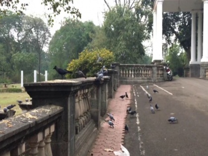 Bird flu confirmed in Indore, says health official | Bird flu confirmed in Indore, says health official