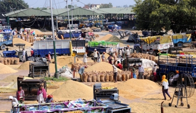 731.53 LMT paddy procured benefitting 103.40 lakh farmers: Govt | 731.53 LMT paddy procured benefitting 103.40 lakh farmers: Govt