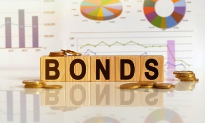Financial institutions to issue record volume of sustainable bonds in 2021 | Financial institutions to issue record volume of sustainable bonds in 2021