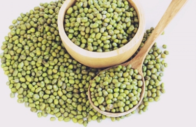 Purchase limit of moong, urad under Price Support Scheme raised for MP farmers | Purchase limit of moong, urad under Price Support Scheme raised for MP farmers