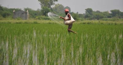 Banned pesticides found in several parts of TN, govt to take action | Banned pesticides found in several parts of TN, govt to take action