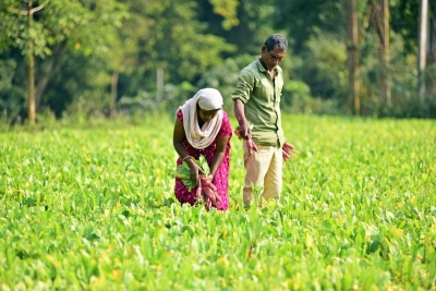 Budget wishlist: Economy can touch $5 tn if lives of marginalised farmers improve | Budget wishlist: Economy can touch $5 tn if lives of marginalised farmers improve