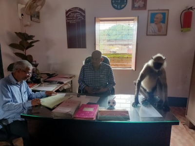 Monkey attends classes with children in Jharkhand school, video goes viral | Monkey attends classes with children in Jharkhand school, video goes viral