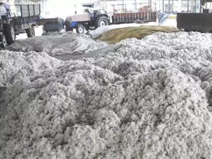 India to host 35-nation cotton advisory committee meet from Dec 2 to 5 | India to host 35-nation cotton advisory committee meet from Dec 2 to 5