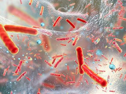 Genomic surveillance tech key to curb deadly ‘superbug’ spread: Study | Genomic surveillance tech key to curb deadly ‘superbug’ spread: Study