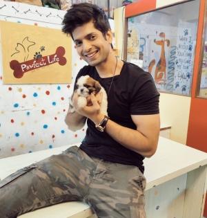 My dog has brought positivity in my life: Hitesh Bharadwaj | My dog has brought positivity in my life: Hitesh Bharadwaj