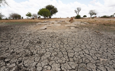 Climate change deadlier than cancer in some areas: UNDP | Climate change deadlier than cancer in some areas: UNDP