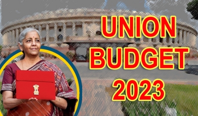 Union Budget: 'Government must allocate a dedicated fund to encourage women to participate in sport' | Union Budget: 'Government must allocate a dedicated fund to encourage women to participate in sport'