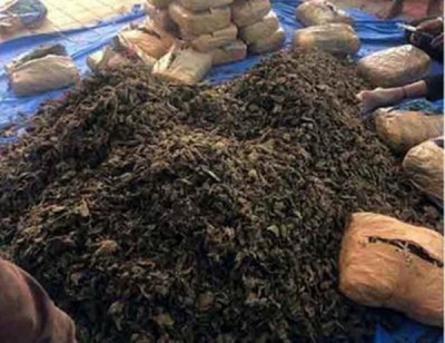 Man arrested with ganja worth Rs 6L in Goa | Man arrested with ganja worth Rs 6L in Goa Man arrested with ganja worth Rs 6L in Goa | Man arrested with ganja worth Rs 6L in Goa