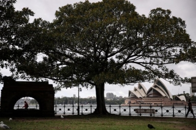 Face masks to be mandatory in Sydney | Face masks to be mandatory in Sydney Face masks to be mandatory in Sydney | Face masks to be mandatory in Sydney