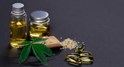 The rise Of The Indian hemp industry | The rise Of The Indian hemp industry The rise Of The Indian hemp industry | The rise Of The Indian hemp industry