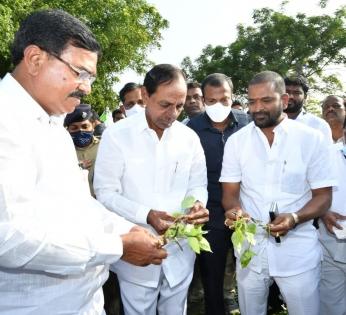 KCR visits farmers in fields, urges paddy farmers to change crops | KCR visits farmers in fields, urges paddy farmers to change crops KCR visits farmers in fields, urges paddy farmers to change crops | KCR visits farmers in fields, urges paddy farmers to change crops