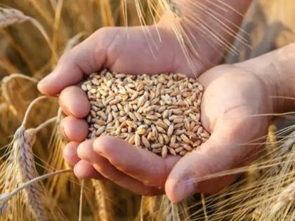Ukrainian, Polish ministers discuss grain export | Ukrainian, Polish ministers discuss grain export Ukrainian, Polish ministers discuss grain export | Ukrainian, Polish ministers discuss grain export