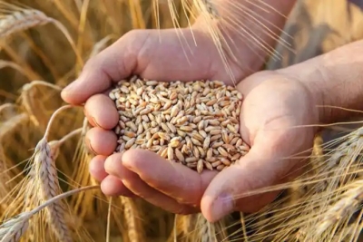Govt significantly enhanced financial assistance for farm sector in last 10 years | Govt significantly enhanced financial assistance for farm sector in last 10 years Govt significantly enhanced financial assistance for farm sector in last 10 years | Govt significantly enhanced financial assistance for farm sector in last 10 years