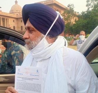 Restore management of Kartarpur shrine, Sukhbir writes to PM | Restore management of Kartarpur shrine, Sukhbir writes to PM Restore management of Kartarpur shrine, Sukhbir writes to PM | Restore management of Kartarpur shrine, Sukhbir writes to PM