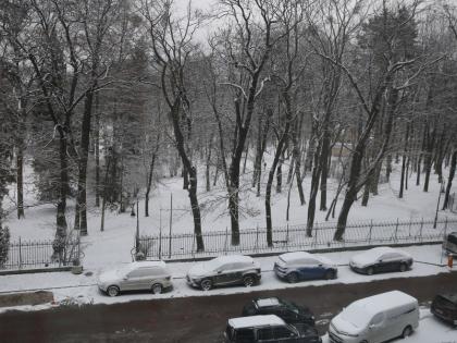 Severe snowstorm in Ukraine kills five, injures 19 | Severe snowstorm in Ukraine kills five, injures 19 Severe snowstorm in Ukraine kills five, injures 19 | Severe snowstorm in Ukraine kills five, injures 19