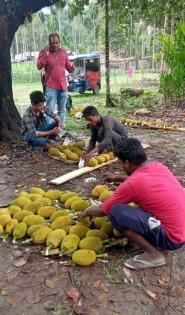 Assam exports jackfruit, green chilli to Dubai | Assam exports jackfruit, green chilli to Dubai