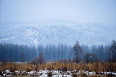 Overnight temperature plunges to minus 50 degrees in Mongolia | Overnight temperature plunges to minus 50 degrees in Mongolia Overnight temperature plunges to minus 50 degrees in Mongolia | Overnight temperature plunges to minus 50 degrees in Mongolia