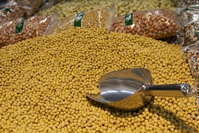 April oilmeal exports up 10% YoY, overall Q1FY23 exports seen lower | April oilmeal exports up 10% YoY, overall Q1FY23 exports seen lower April oilmeal exports up 10% YoY, overall Q1FY23 exports seen lower | April oilmeal exports up 10% YoY, overall Q1FY23 exports seen lower