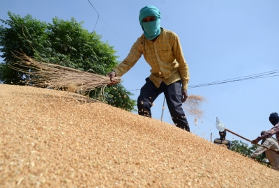 Centre bans wheat export | Centre bans wheat export