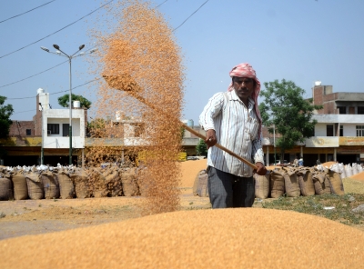 Govt happy that Indian wheat exports increasing, 11 LMT exported in April | Govt happy that Indian wheat exports increasing, 11 LMT exported in April