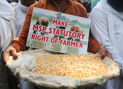 Cabinet nod to MSP hike for Rabi crops, rise highest for oilseeds, pulses | Cabinet nod to MSP hike for Rabi crops, rise highest for oilseeds, pulses