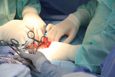 Pig-to-human heart transplant in brain dead patients successful | Pig-to-human heart transplant in brain dead patients successful
