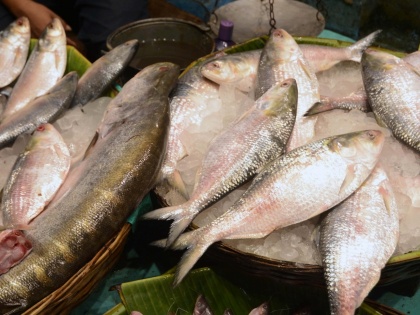 Asia's largest fish market to soon come up in UP's Chandauli | Asia's largest fish market to soon come up in UP's Chandauli
