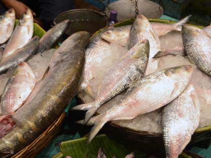 Ahead of Bhai Dooj, prices of fish & meat prices skyrocket in Kolkata | Ahead of Bhai Dooj, prices of fish & meat prices skyrocket in Kolkata Ahead of Bhai Dooj, prices of fish & meat prices skyrocket in Kolkata | Ahead of Bhai Dooj, prices of fish & meat prices skyrocket in Kolkata