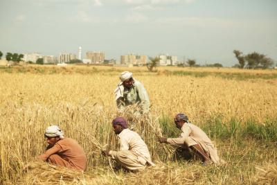 Pakistan Kissan Ittehad criticises filing of FIRs against protesting farmers in Balochistan's Nasirabad | Pakistan Kissan Ittehad criticises filing of FIRs against protesting farmers in Balochistan's Nasirabad