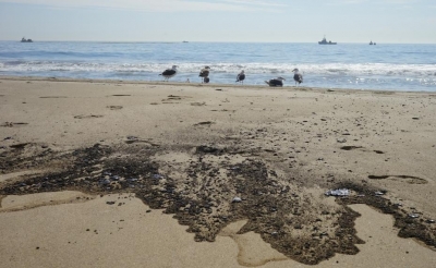 'Massive oil spill off California coast a potential ecological disaster' | 'Massive oil spill off California coast a potential ecological disaster'