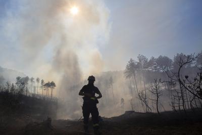 Bolivia declares national emergency over forest fires | Bolivia declares national emergency over forest fires