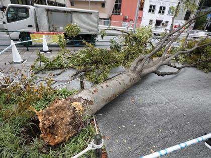 2 dead, 61 injured as typhoon Khanun batters Japan's Okinawa | 2 dead, 61 injured as typhoon Khanun batters Japan's Okinawa 2 dead, 61 injured as typhoon Khanun batters Japan's Okinawa | 2 dead, 61 injured as typhoon Khanun batters Japan's Okinawa
