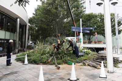 Flights, trains cancelled in Japan ahead of typhoon | Flights, trains cancelled in Japan ahead of typhoon