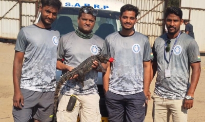 Baby marsh crocodile rescued from well in Mumbai's Andheri | Baby marsh crocodile rescued from well in Mumbai's Andheri Baby marsh crocodile rescued from well in Mumbai's Andheri | Baby marsh crocodile rescued from well in Mumbai's Andheri