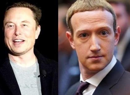 Zuckerberg says he's ready for cage fight, Musk reacts | Zuckerberg says he's ready for cage fight, Musk reacts Zuckerberg says he's ready for cage fight, Musk reacts | Zuckerberg says he's ready for cage fight, Musk reacts
