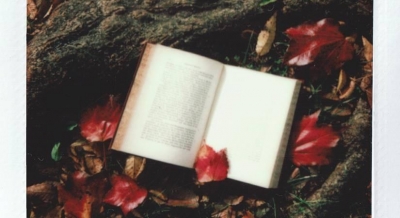 Your March Book Collection | Your March Book Collection Your March Book Collection | Your March Book Collection