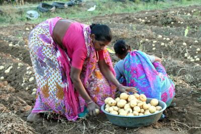 Gujarat farmers told to complete PM-KISAN e-KYC by June 30 | Gujarat farmers told to complete PM-KISAN e-KYC by June 30 Gujarat farmers told to complete PM-KISAN e-KYC by June 30 | Gujarat farmers told to complete PM-KISAN e-KYC by June 30