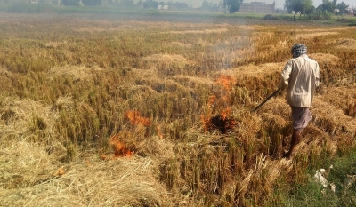 Yogi govt withdraws 868 stubble burning cases against farmers | Yogi govt withdraws 868 stubble burning cases against farmers