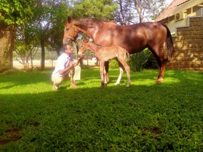 Randeep Hooda names newborn foal Hope after his mother Asha | Randeep Hooda names newborn foal Hope after his mother Asha