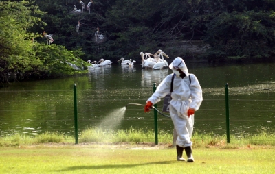 S. Korea confirms highly pathogenic bird flu case | S. Korea confirms highly pathogenic bird flu case